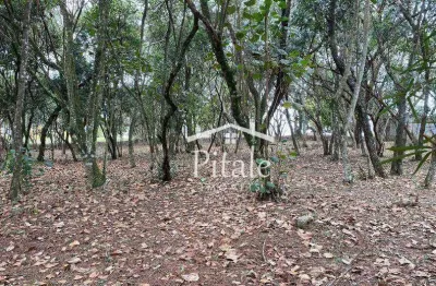 Terreno à venda, 1575 m² por r$ 1.450.000,00 - vila de são fernando - cotia/sp