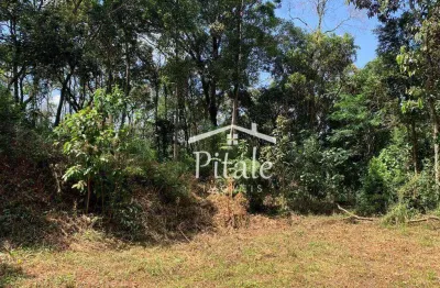 Terreno à venda, 5000 m² por r$ 150.000,00 - jardim arpoador - francisco morato/sp