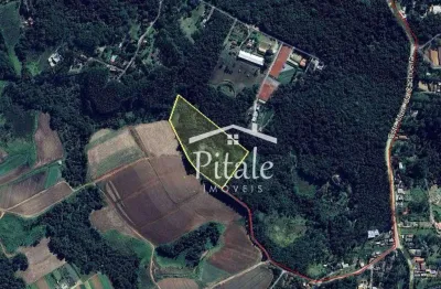 Sítio com 3 dormitórios à venda, 30831 m² por r$ 1.190.000,00 - jardim monte verde (caucaia do alto) - cotia/sp