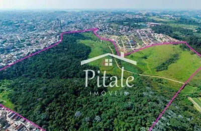 Terreno à venda, 442000 m² por r$ 90.000.000,00 - jardim ângela - embu das artes/sp