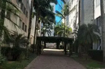 Apartamento com 3 dormitórios à venda, 54 m² por r$ 349.000,00 - cidade dos bandeirantes - são paul