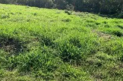 Terreno à venda, 524 m² por r$ 225.000,00 - portal do santa paula - cotia/sp