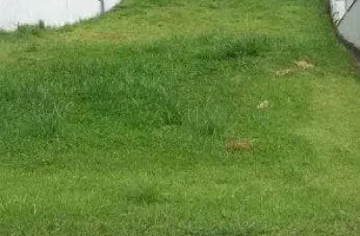 Terreno à venda, 360 m² por r$ 320.000 - jardim torino - cotia/sp