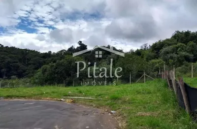 Terreno à venda, 244 m² por r$ 282.000,00 - jardim do rio cotia - cotia/sp