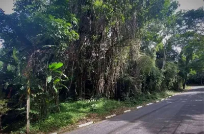 Terreno à venda na Rua Jambo, Algarve, Cotia