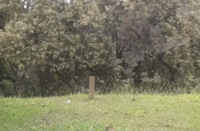 Terreno à venda, 500 m² por r$ 477.000,00 - tarumã - santana de parnaíba/sp