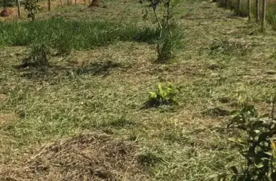 Terreno à venda, 525 m² por r$ 130.000 - conjunto residencial santo ângelo - mogi das cruzes/são pa