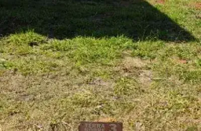 Terreno à venda, 125 m² por R$ 159.000,00 - Granja Viana - Cotia/SP