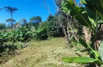 Terreno à venda, 200 m² por r$ 130.000,00 - pereiras - cotia/sp