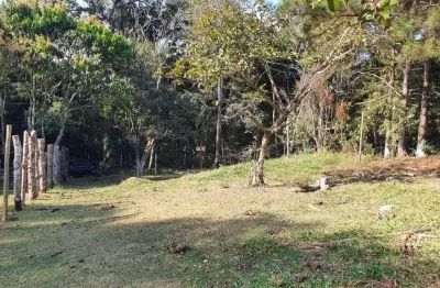 Terreno à venda, 125 m² por r$ 79.500,00 - parque rizzo - cotia/sp