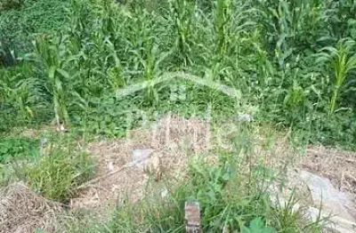 Terreno à venda, 150 m² por r$ 60.000 - jardim japão (caucaia do alto) - cotia/sp