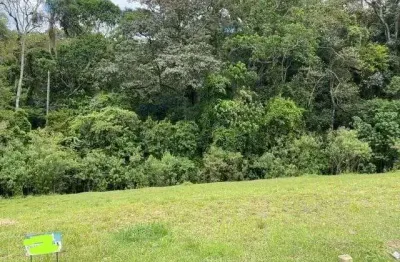 Terreno à venda, 150 m² por r$ 175.000,00 - vila santo antônio - cotia/sp