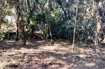 Terreno à venda, 2334 m² por r$ 945.500,00 - parque frondoso - cotia/sp