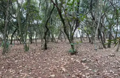 Terreno à venda, 1575 m² por r$ 1.450.000,00 - vila de são fernando - cotia/sp