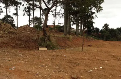 Terreno à venda, 2740 m² por r$ 2.150.000,00 - jardim sandra - cotia/sp