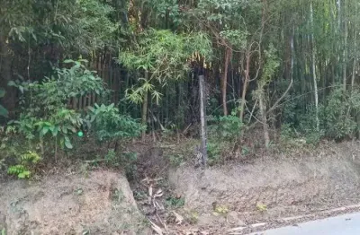 Terreno à venda, 19658 m² por r$ 5.300.000,00 - chácaras embu colonial - embu das artes/sp