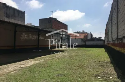 Terreno para alugar, 600 m² por r$ 18.000,00/mês - mooca - são paulo/sp