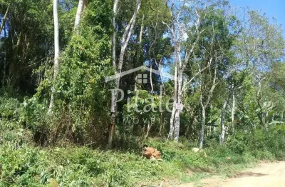 Terreno à venda na Rua Patos de Minas, Ressaca, Cotia