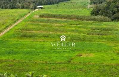 Terreno à venda, 94000 m² por r$ 5.500.000,00 - laranjeiras - luiz alves/sc