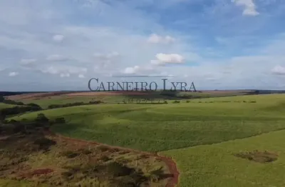 26 alqueires de terra roxa 100% produtivos e planos por r$7.500.000 - banharão velho - jaú/sp
