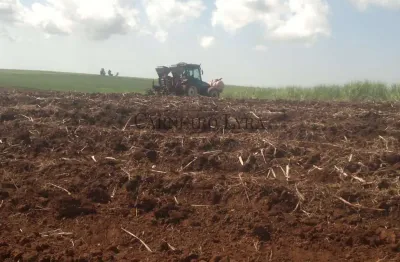26 alqueires de terra roxa 100% produtivos e planos por r$350mil/alqueire - banharão velho - jaú/sp
