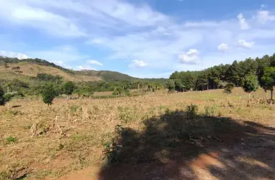 Chácara / sítio à venda na Área Rural de Guarapuava, Guarapuava 