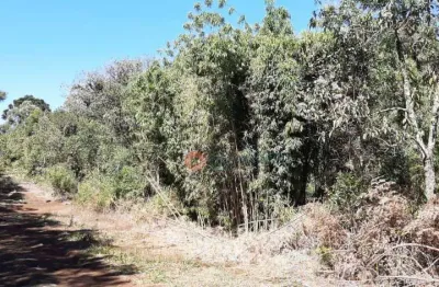Fazenda à venda no Guará, Guarapuava 