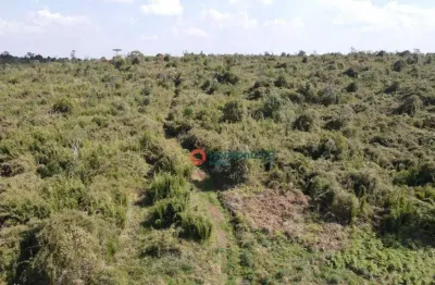Chácara / sítio com 2 quartos à venda na Zona Rural, Pinhão 