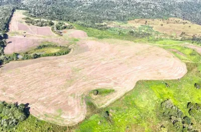 Fazenda à venda, 130 alqueires por r$ 13.000.000,00 - entre rios - guarapuava/pr