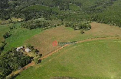 Chácara / sítio com 3 quartos à venda no Guairacá, Guarapuava 