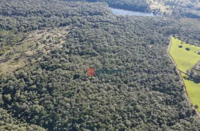 Chácara à venda, 19 alqueires por r$ 950.000 - pinhao - pinhão/pr