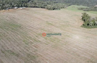 Sítio à venda, 37.8 alqueires por r$ 8.500.000 - centro - guará (guarapuava)/pr