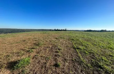 Chácara / sítio à venda na Área Rural de Guarapuava, Guarapuava 