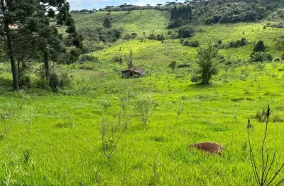 Chácara / sítio à venda na Área Rural de Guarapuava, Guarapuava 