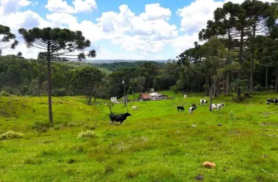 Chácara / sítio à venda na Área Rural de Guarapuava, Guarapuava 