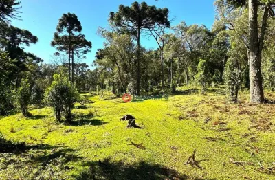 Chácara à venda, 29,03 alqueires por r$ 2.200.000 - guará - guarapuava/pr