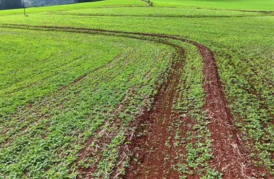 Chácara / sítio à venda na Área Rural de Guarapuava, Guarapuava 