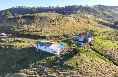 Fazenda com 37.5 alqueire à venda por r$ 3.000.000 - zona rural - pinhão/pr