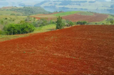 Chácara / sítio à venda no Alagado, Candói 