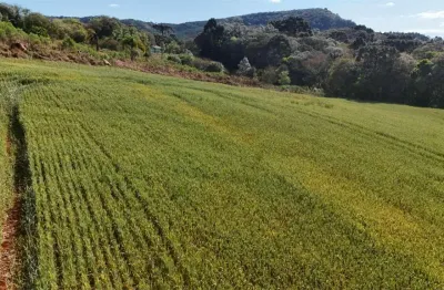 Chácara / sítio à venda na Área Rural de Guarapuava, Guarapuava 