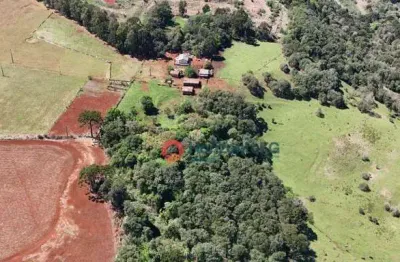Chácara à venda, 4,5 alqueires por r$ 1.400.000 - zona rural - guarapuava/pr