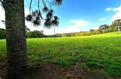 Chácara / sítio à venda na Zona Rural, Turvo 