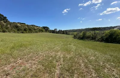 Chácara / sítio à venda no Palmeirinha, Guarapuava 