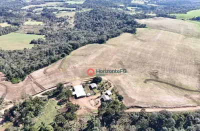 Fazenda à venda, 36 alqueires por r$ 6.500.000,00- pinhao - pinhão/pr