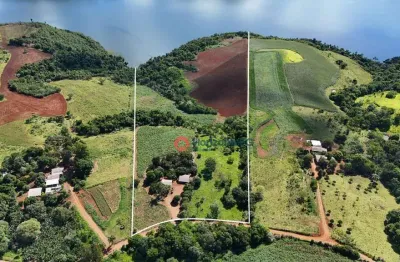 Chácara com 6 alqueires à venda, 145200 m² por r$ 500.000 - alagado, candói - candói/pr