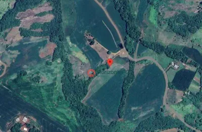 Área à venda, 24200 m² por r$ 210.000 - zona rural - candói/pr