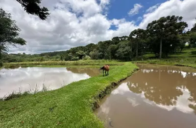 Chácara / sítio à venda na Área Rural de Guarapuava, Guarapuava 