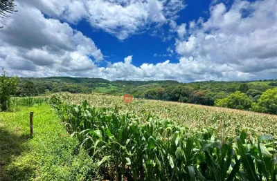Chácara com 8 alqueires à venda, 193600 m² por r$ 2.500.000 - guairacá - guarapuava/pr