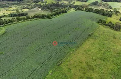 Chácara à venda, 07 alqueires por r$ 1.200.000 - guairacá - guarapuava/pr