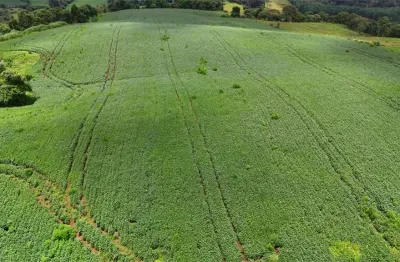Chácara / sítio à venda na Área Rural de Guarapuava, Guarapuava 